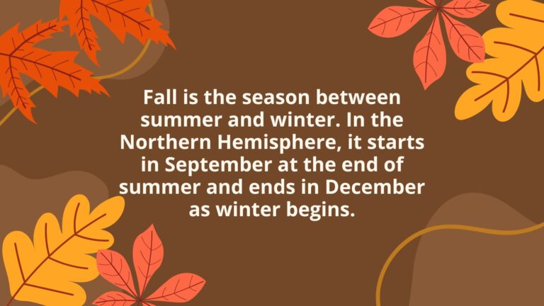 fall facts feature v2