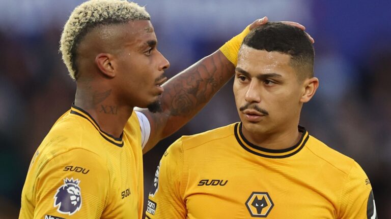 skysports wolves mario lemina 6700173