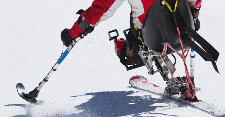 adaptive skiing gear 201328791106